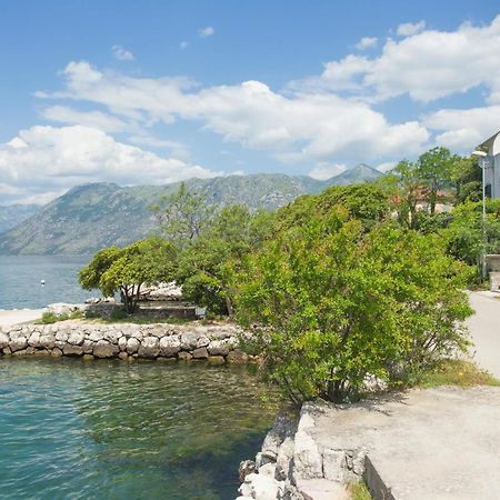 Villa Iva Kotor Eksteriør billede
